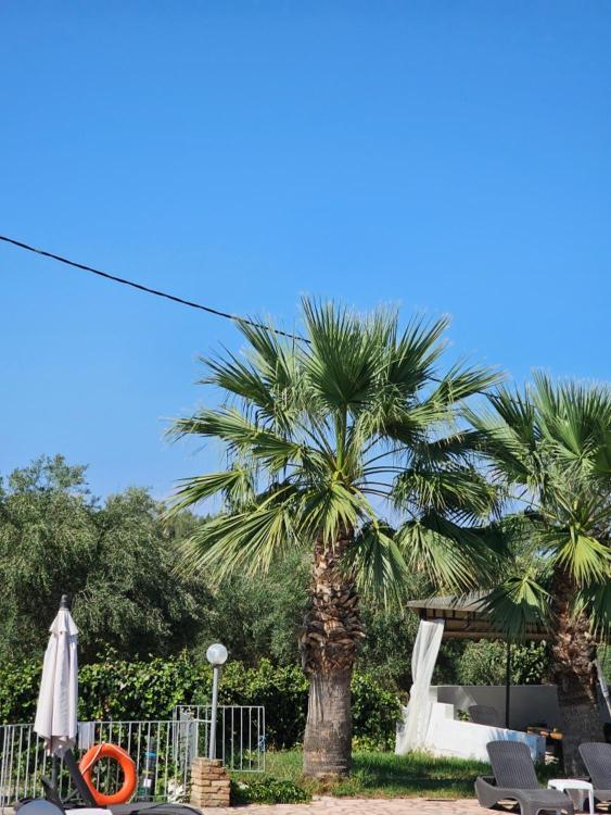 Palmyra Studios Kavos Exterior photo